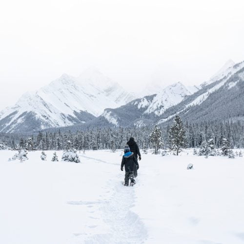 Mount Engadine 5