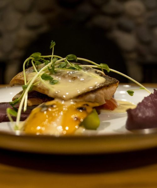 Mount Engadine Lodge_Salmon