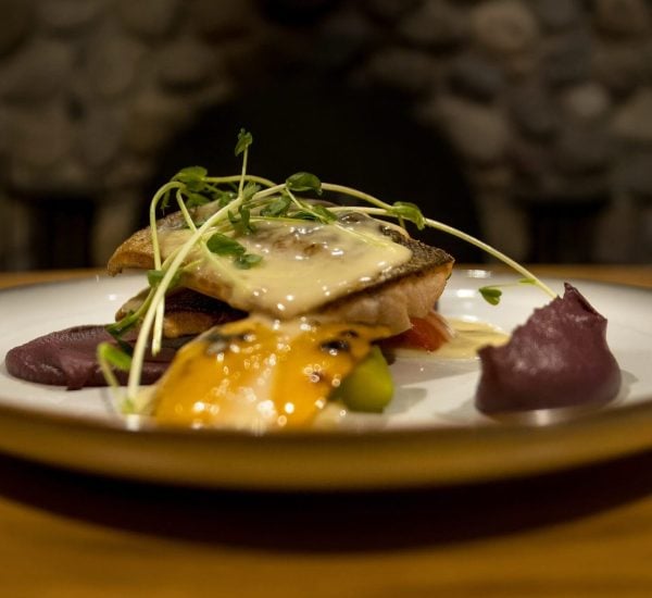 Mount Engadine Lodge_Salmon