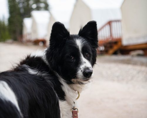 MountEngadineLodge-May2024-012