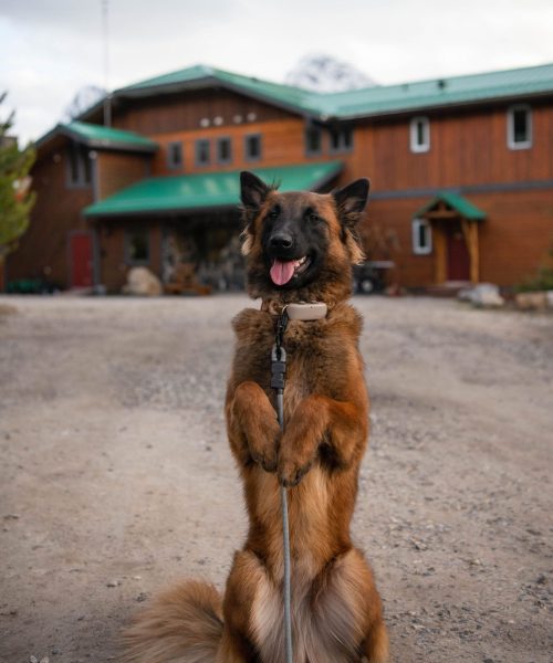 MountEngadineLodge-May2024-040