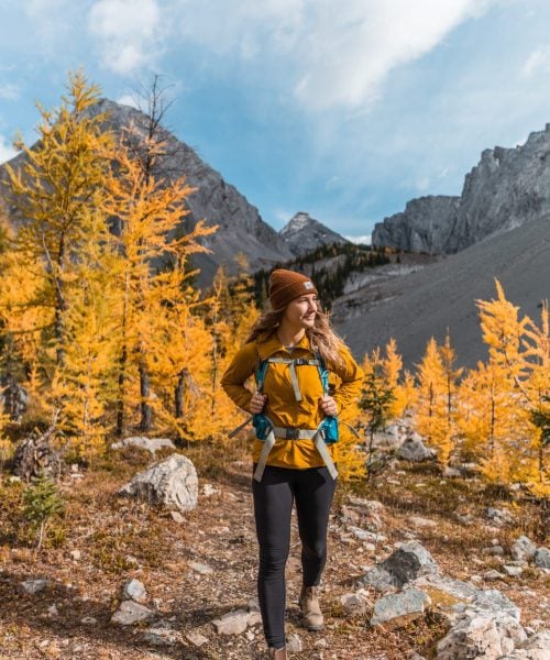 Autumn Larch Hiking in Kananaskis