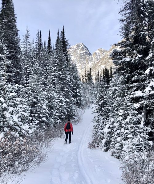 Snowshoeing near Mount Engadine Lodge