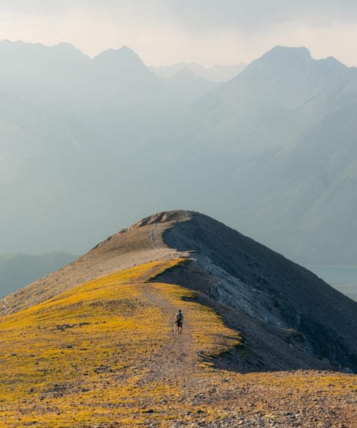 Tent Ridge hike-6683