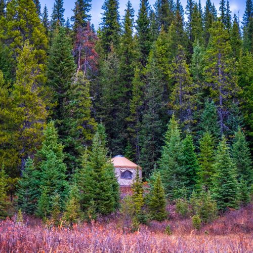 yurt-thebanff-blog-autumn